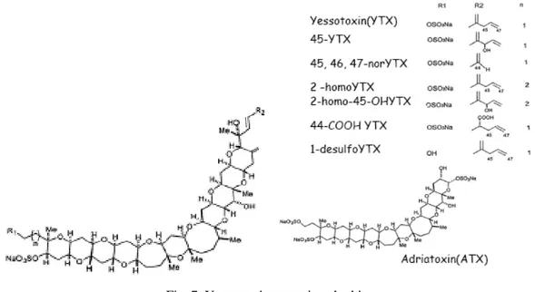 Fig. 7. Yessotossine e suoi analoghi. 