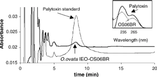 Fig. 14. Cromatogramma LC-DAD di un estrato di O. ovata e dello standard   di palitossina e rispettivo spettro UV