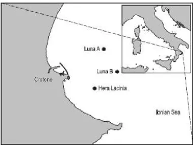 Figura 1. Area di studio: Luna A, Luna B, Hera Lacinia: impianti estrattivi Enigas.
