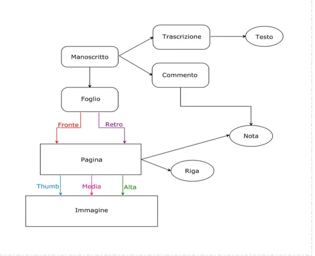 Figura 4 – Data Model progettato per la realizzazione del software di consultazione dell’edizione digitale  del Vercelli Book 