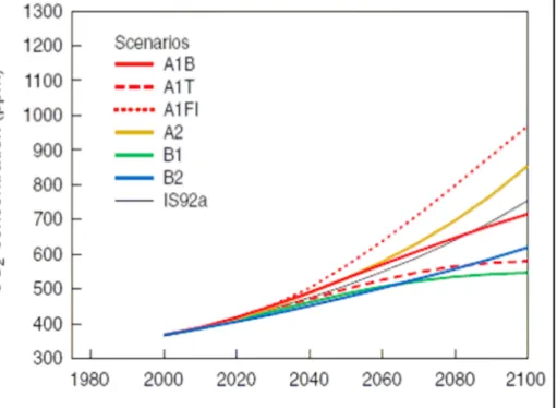 Fig.  8  -    Andamento  futuro  della  concentrazione  atmosferica    di  CO 2 ,  ipotizzabile  sulla 