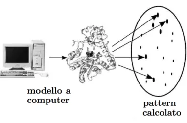 Figura 1.11: Il pattern viene riprodotto da un computer e la conformazione cambiata finch´ e non si raggiunge un buon accordo con quello osservato.