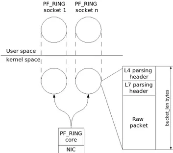 Figure 4.5: PF RING slot layout with plugin parsing information.
