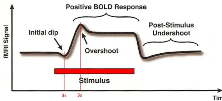 Figura 1.2  Decorso temporale di risposta emodinamica attivata da un lungo (cira 20s) evento-stimolo
