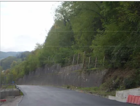 Figura 1.1: Muro di sostegno nella prima parte del tratto stradale. 