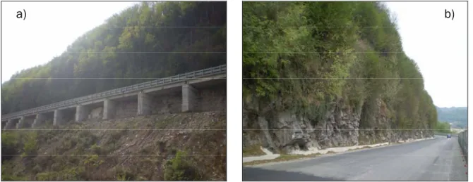 Figura 1.2: a) foto dell’attuale viadotto della strada verso l’alveo del F. Serchio; b) panoramica  dell’affioramento di Calcare Selcifero della Val di Lima