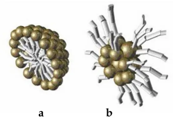 Figure 1.3  a) normal micelle  b) reversed micelle 