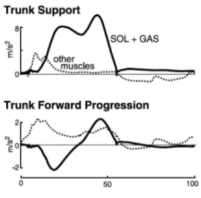 Figura  4:  Contributo  dei  muscoli  plantiflessori  (SOL,GAS)  nel  supporto  del tronco.