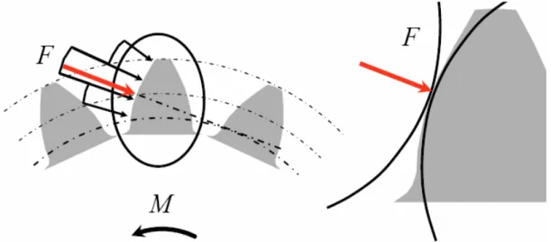 Figura 2.4 – Andamento del carico sul profilo del dente e calcolo della locale 