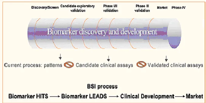 Figura 1. The development of biomarker: from discovery to delivery/publication/release