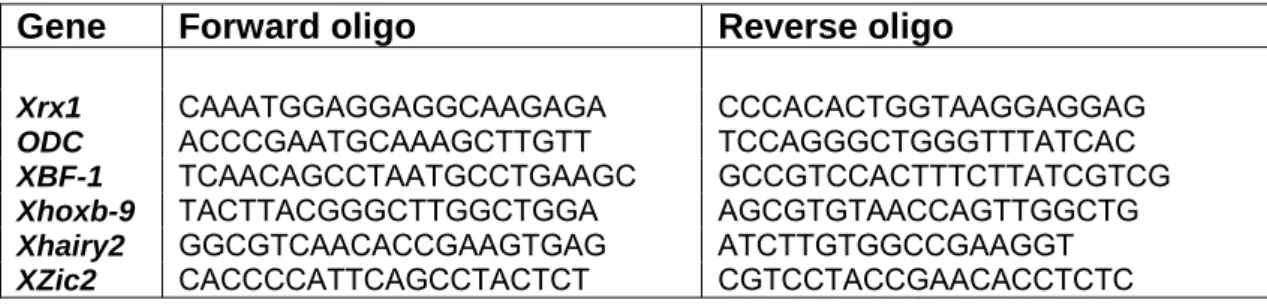 Tab. 1:  forward and reverse oligonucleotides used for thePCR screening. 