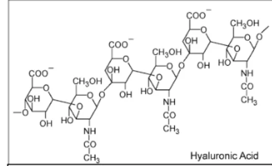 Fig 10: formula chimica Acido Ialuronico  
