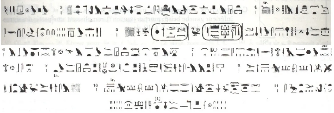 Fig. 3 - Il testo qui riprodotto è la seconda parte dell’epigrafe conservata sulla Stele del Serapeo (doc
