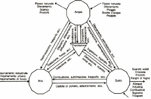 Fig. 1.2 Flusso dei metalli nell’ambiente (da Floccia et alii, 2003) 