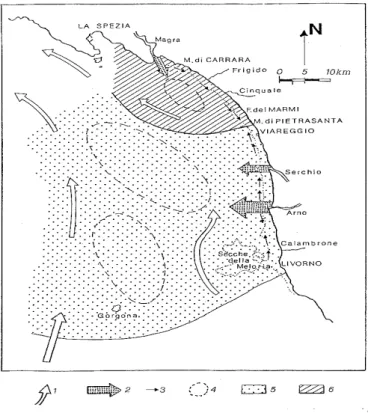 Fig. 3.6 Rappresentazione schematica delle aree di influenza  prevalente dei principali tributari e dell'andamento delle  principali correnti che trasportano e distribuiscono gli apporti  dei fiumi all'interno dell'unità fisiografica pisano-versiliese (da 