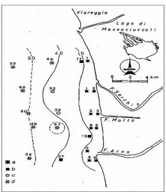 Fig. 3.9 Distribuzione dei sedimenti superficiali lungo  la costa tra Torre del Lago e la foce dell'Arno