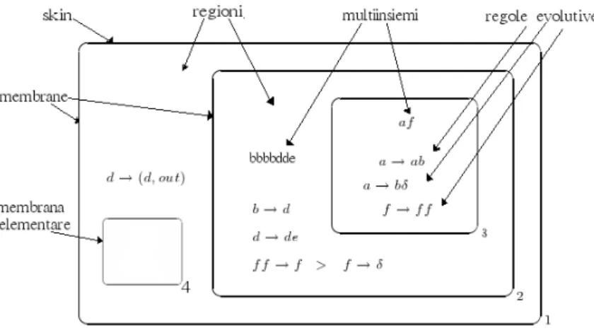 Figura 3.1: Esempio di struttura a membrane di un modello di cellula.[ 11 ]