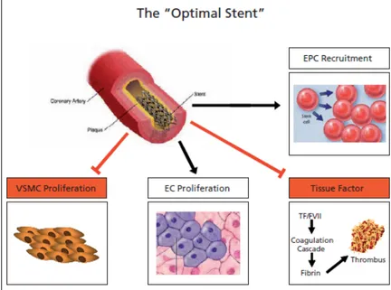 Figure  2.14 : The “opti mal  stent” 2.7.1  Drug  delivery  mechanisms