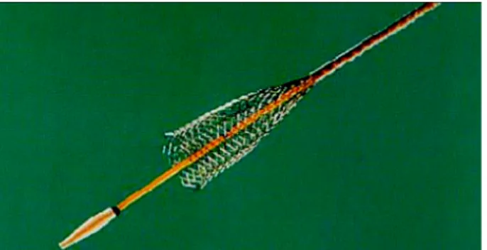 Figure  2.6:   Self- expandable  stent  