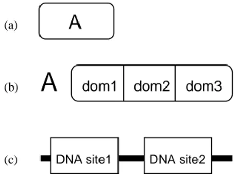 Figure 1.1 Elementary species in MIM