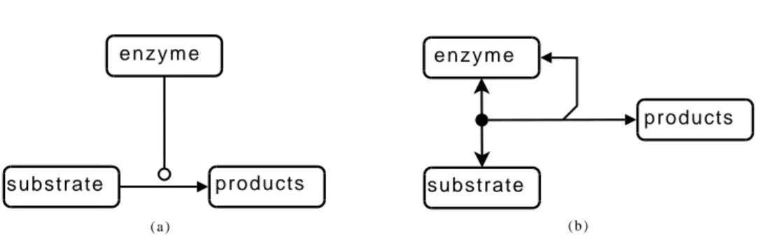 Figure 1.6 (a) enzymatic reaction with catalysis symbol; (b) enzymatic reaction in explicit notation