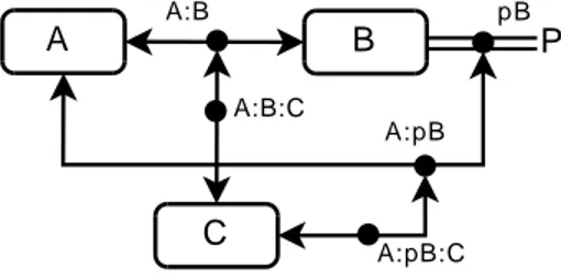 Figure 1.11 Explicit map representing the same complexes of map in Figure 1.10: complex species A:B:C and A:pB:C appear once in the map.