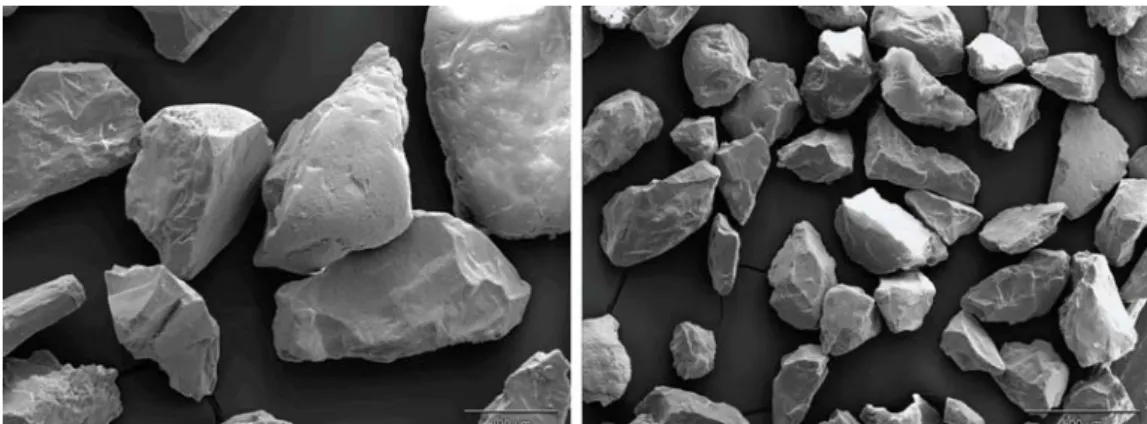 Figura 8: sabbia silicea fotografata alla microsonda ( da Bonnet et al., 2007) 