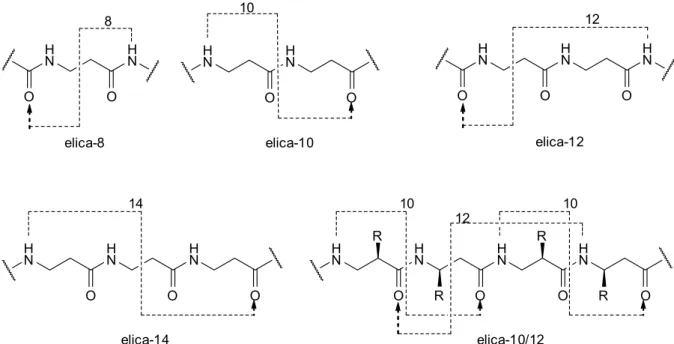 Figura 2.4 Nomenclatura di eliche-β-peptidiche sulla base del pattern di legami a ponte d’idrogeno