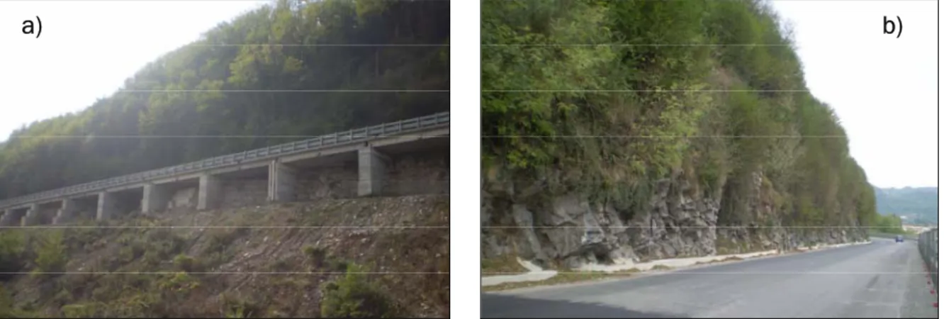 Figura 1.2: a) Foto dell’attuale viadotto della strada verso l’alveo del F. Serchio; b) Panoramica  dell’affioramento di Calcare Selcifero della Val di Lima lungo strada