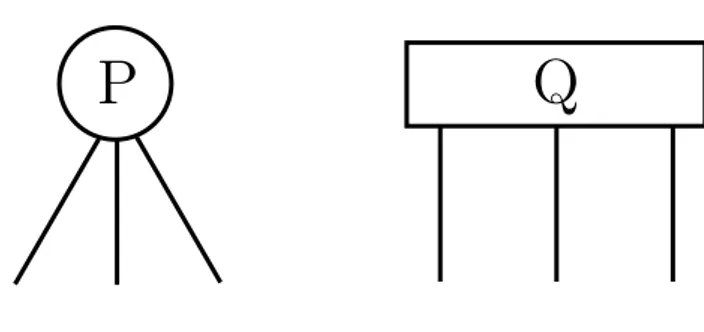 Figura 2.1: Rappresentazione grafica dei nodi P e Q.