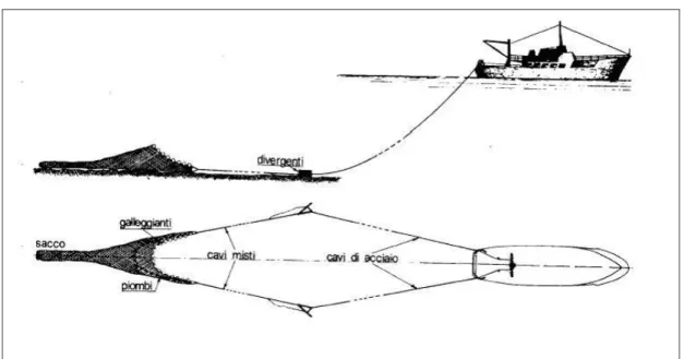 Fig. 11 Peschereccio e rete a strascico in assetto da pesca