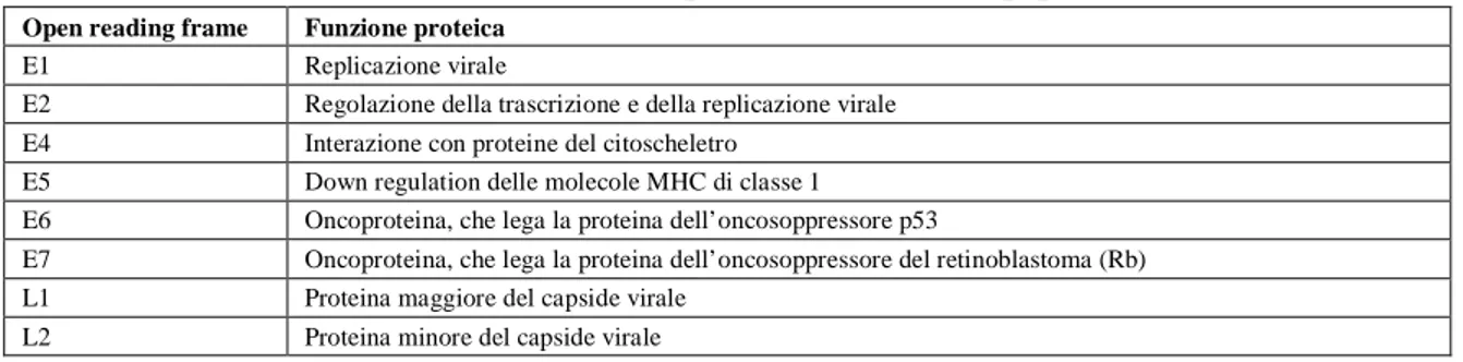 Tabella 3: Riassunto delle funzioni chiave delle proteine codificate dal papillomavirus umano 