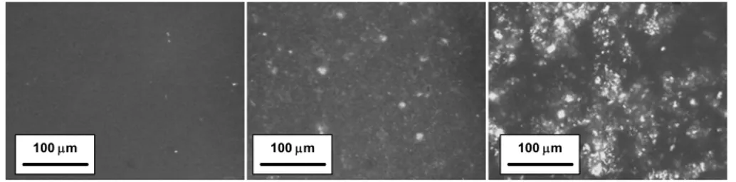 Fig. A.3.6 – Micrografie POM a raggi incrociati di film nanocompositi EAA2 con 