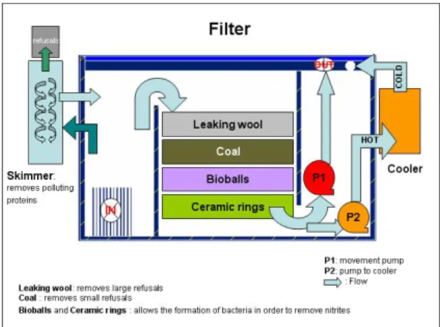 Figura 3. 1 Schema di funzionamento del sistema di filtraggio. 