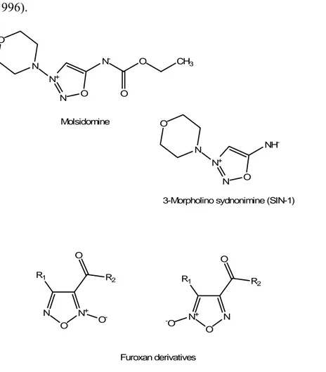 Figure 6. NO-releasing heterocyclic moieties: molsidomine, SIN-1 and generic structures of  furoxanes.