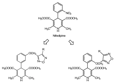 Figure 11. Chemical structures of the dihydropyridines nifedipine and Bay K8644 (respectively,  calcium antagonist and calcium-agonist), and of their releasing analogues