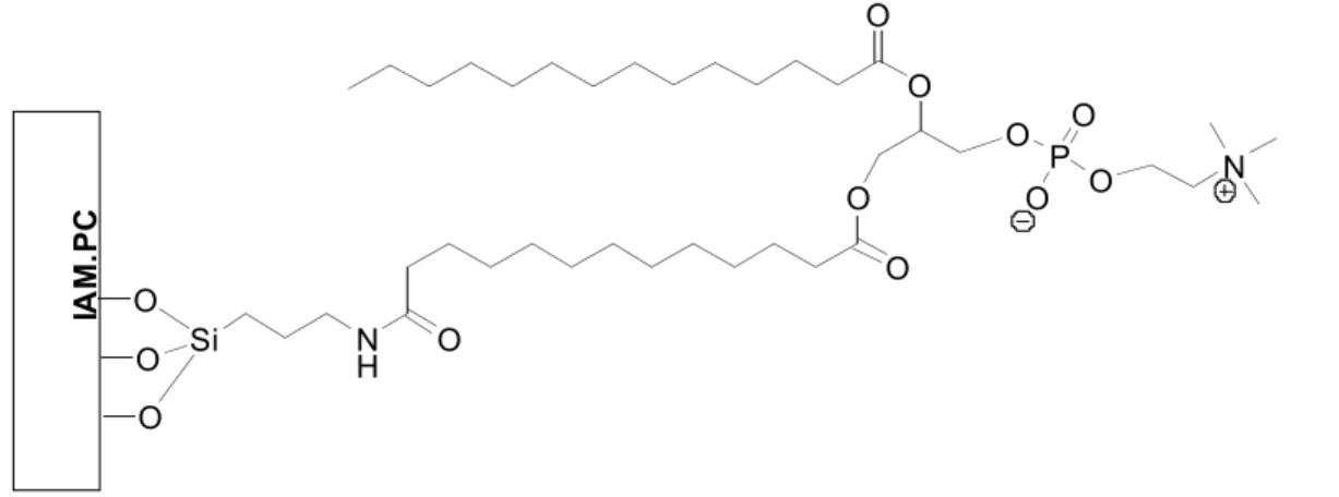 Figura 2.1 - Struttura della fase stazionaria IAM.PC 