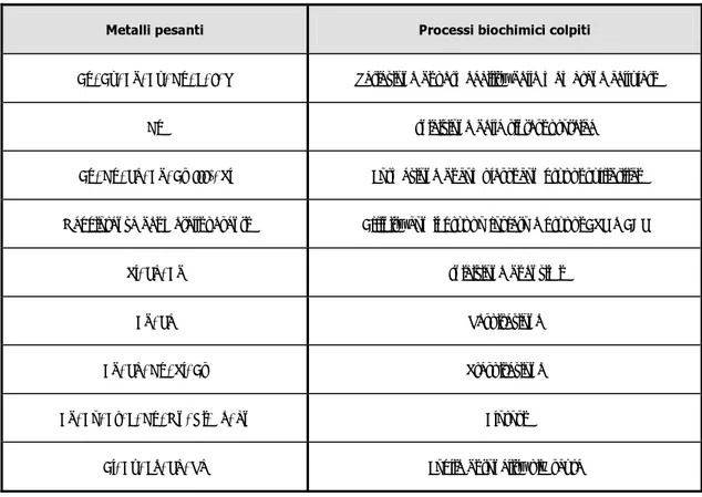 Tabella 1.1 Effetto dei metalli pesanti sui processi metabolici delle piante. 