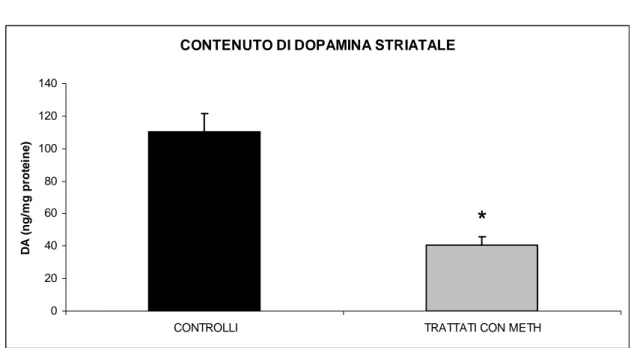 Fig. 4.1.1. Livelli di DA nello striato dei topi di controllo rispetto ai trattati (P*&lt;0,05) 