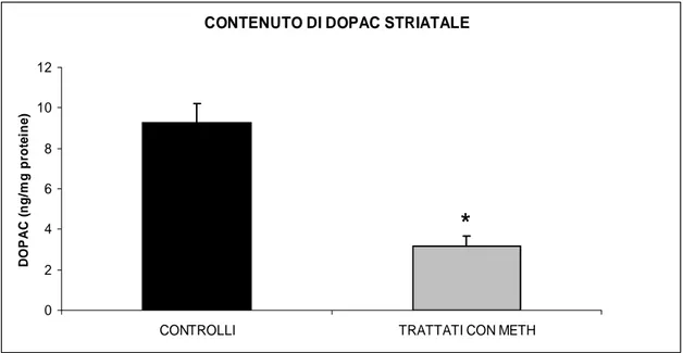Fig. 4.1.2.: Livelli di DOPAC nello striato dei topi di controllo rispetto ai trattati 