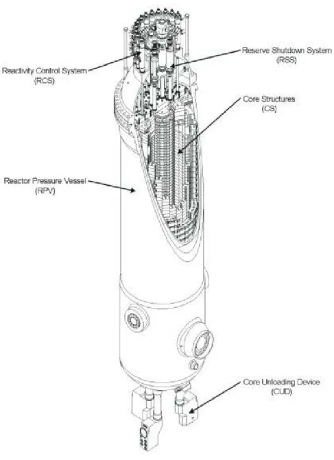 Figure 1.5: Reactor pressure vessel[1-5] 