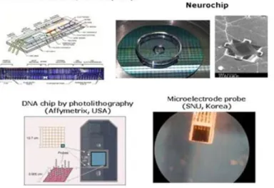 Figure 1-4: An example of MEMS Systems in Bio-medical  applications. 
