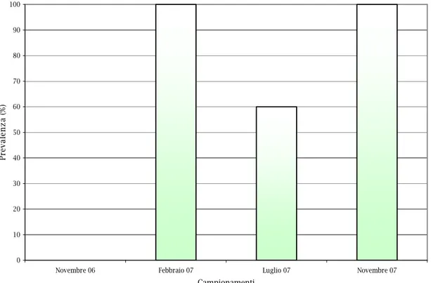 Figura  7.9  Prevalenza  di  Strongyloides  papillosus  osservate  negli  agnelli 