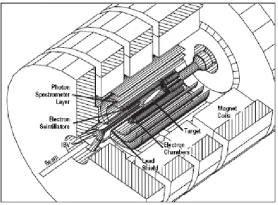 Figura 1.5: Schema dell’apparato dell’esperimento MEGA.