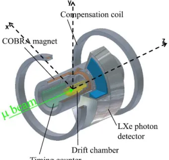 Figura 1.6: Rappresentazione schematica dell’apparato sperimentale di MEG tridimensionale