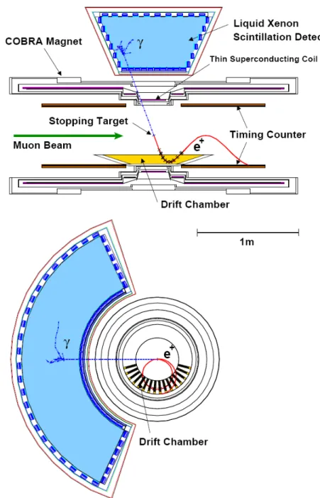 Figura 1.7: Rappresentazione schematica dell’apparato sperimentale di MEG nelle sezioni longitudinale e trasversa