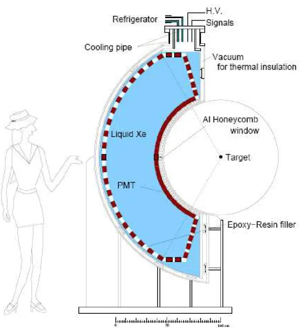 Figura 1.10: Visione schematica del calorimetro a Xenon liquido per l’esperimento MEG