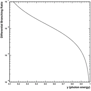 Figura 2.1: Spettro di energia del fotone proveniente da decadimento radiativo del muone (y ≡ 2E γ /m µ ).