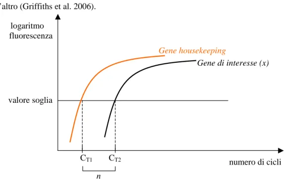 Figura 2: Calcolo dell’espressione genica con il metodo relativo 