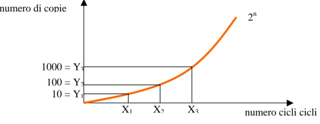 Figura 3: Calcolo dell’espressione genica mediante metodo assoluto 